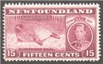 Newfoundland Scott 239 MNH F (P14.1)